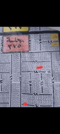 الثعالبه خلف البزل • ٢٠٠م • قطعة ٦١٣