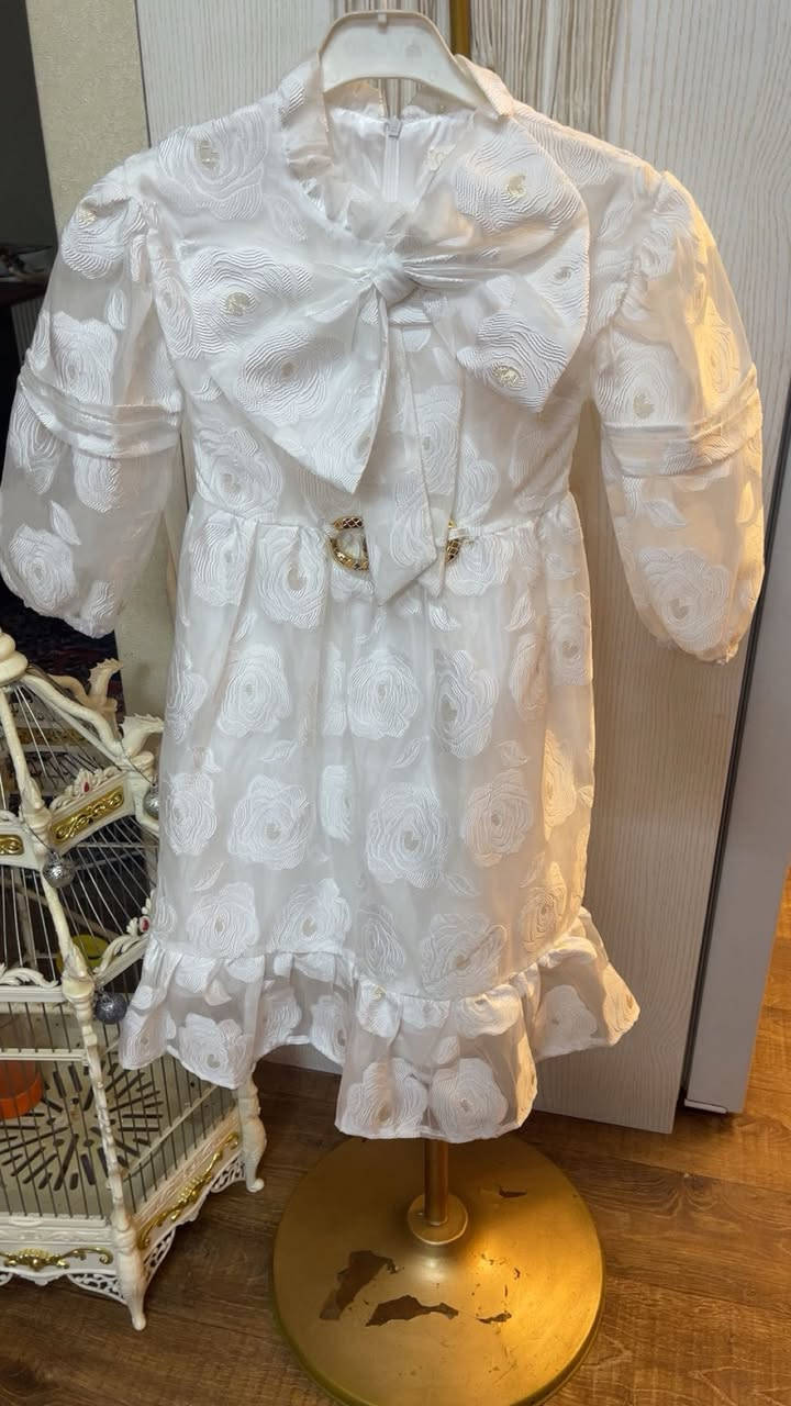 بضاعه جديده من الفساتين البناتي 🌺


**إذا كنت صاحب هذا الإعلان وتريد حذفه لأي سبب، رجاءا أرسل رسالة إلى الدعم الفني**