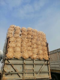 تبن حنطة • كيس ٥٥/٦٠ • حمام العليل