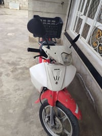 ماطور • الضلوعية