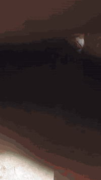 السلام عليكم
🚚يوجد خدمة توصيل لجميع المحافضات
🎥شوف الفديو والعروض
📦احجز طلبك
📝اكتب عنوانك ومنطقتك
☎️على رقم الواتس اب
💚***********
⏰يوصل طلبك خلال 24 ساعه
