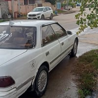 مارك شطح • ١٩٩١ • رقم ديالى