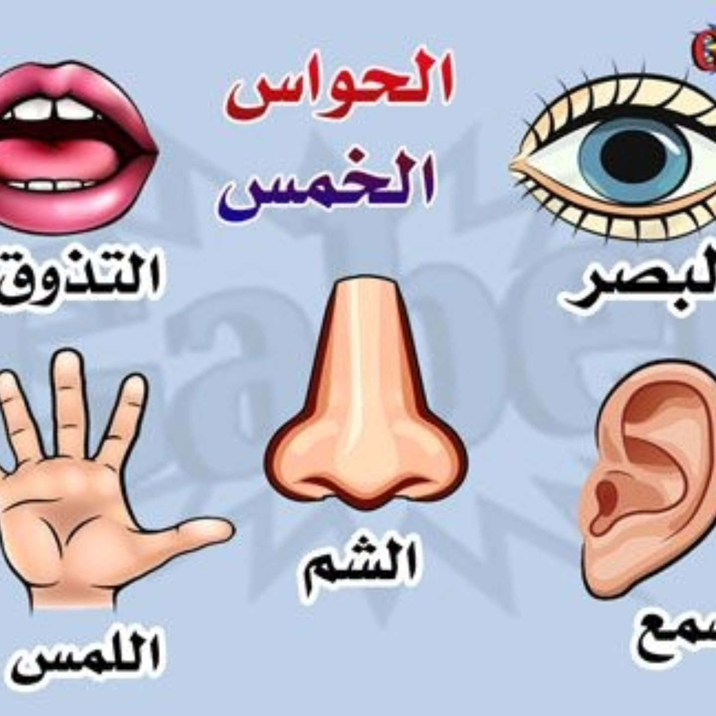 على 500


**إذا كنت صاحب هذا الإعلان وتريد حذفه لأي سبب، رجاءا أرسل رسالة إلى الدعم الفني**