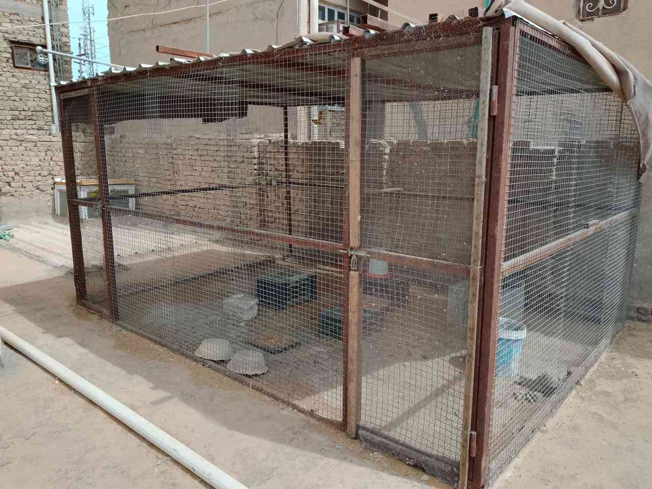 سلام عليكم عندي قفص حديد لبيع أربعة في ثلاثة أمتار الشراي يراسلني علة الخاص


**إذا كنت صاحب هذا الإعلان وتريد حذفه لأي سبب، رجاءا أرسل رسالة إلى الدعم الفني**