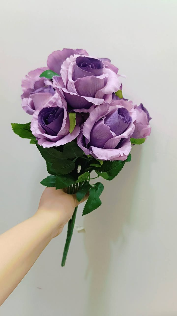 قرطاس حجم كبير كثيف بنفسجي فاتح وطوخ الغصن ب5 الف جديد الورق بي ورد غصن جوري الغصن 10 وردات ب5 الاف ورد عباد الشمس الغصن ب3 ورد اغصان عدد الوردة بالغصن 5 سعرة 3 ورد جلد النمر منفرد الوحدة ب3


**إذا كنت صاحب هذا الإعلان وتريد حذفه لأي سبب، رجاءا أرسل رسالة إلى الدعم الفني**