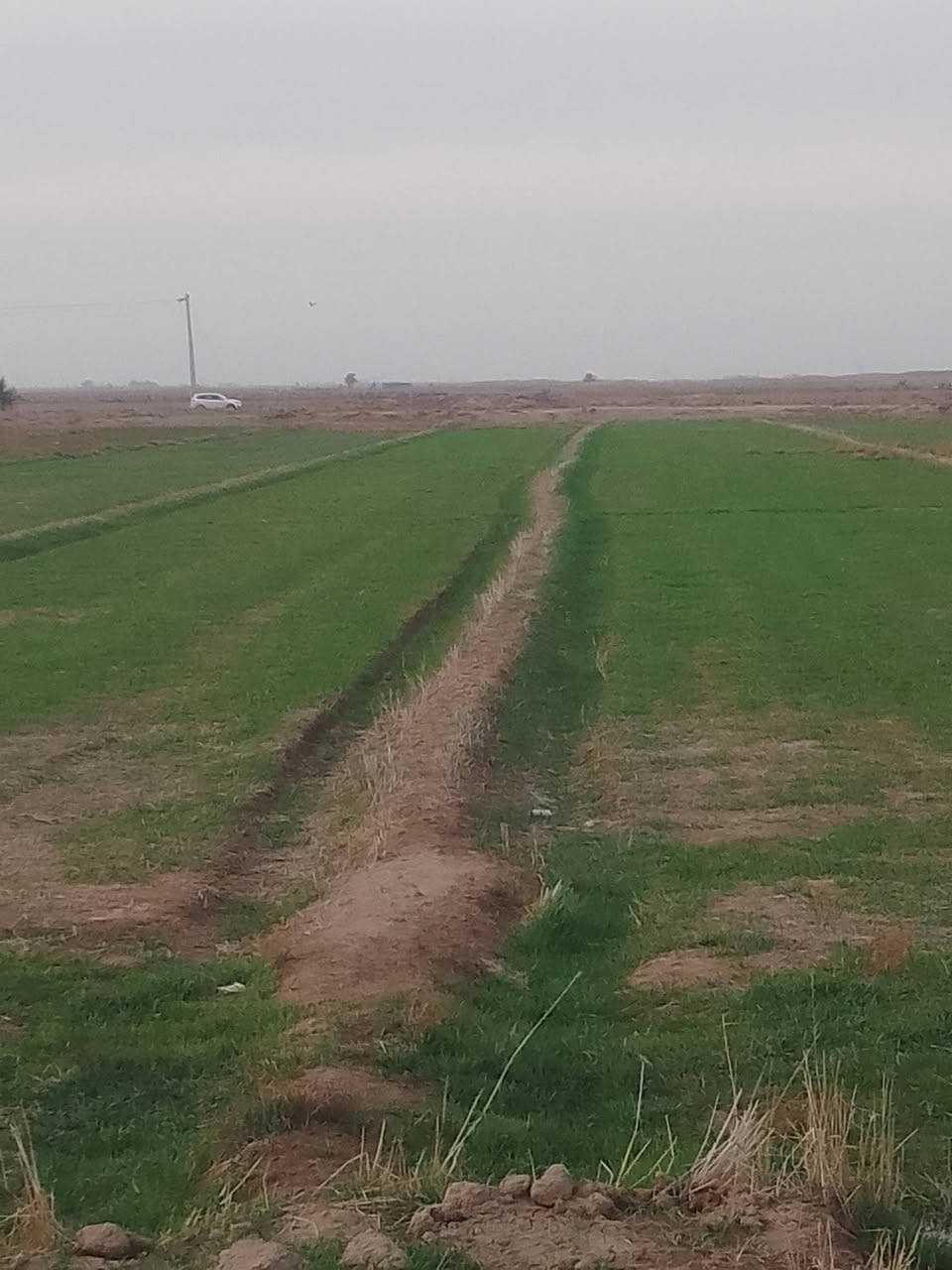 جاير 12دونم لضمان
المكان قرب ق 6الجسر الشارع العام 
ت/***********/تصل ودلل
