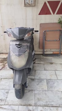 سكنس فحل • الأمين الثانية