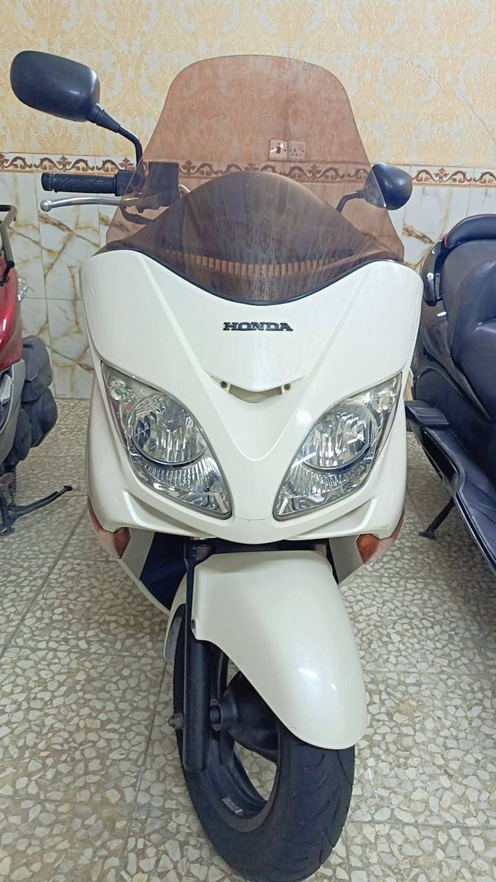 السلام عليكم فورزات وكاله
كفاله عامه نضافه 100/100
للاستفسار ***********
العنوان بغداد بلديات شارع المصرف
يوجد لدينا توصيل كافت المحافظات
