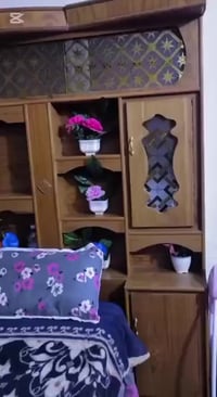 رمادي • ٥ كيلو • للبيع