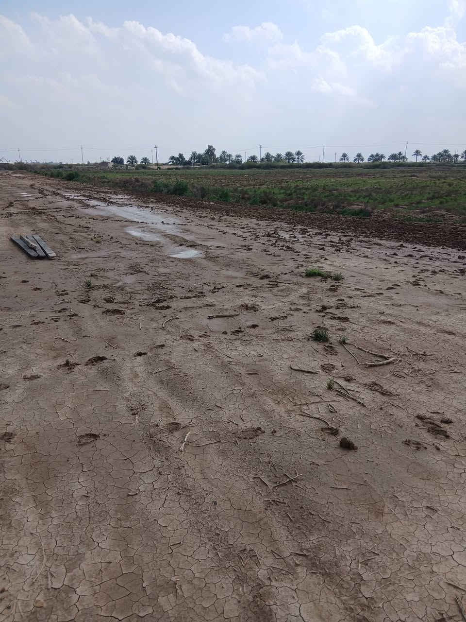 السلام عليكم ورحمت الله وبركاته.    ارض للبيع الصويره قرب الشط طابو تحويل مباشر عله طابو الصويره كافت الخدمات  تربه لارض جيده بنسبه 100........100.  ارض تجاريه وزراعيه.  سعر الدونم 14 مليون وبيهه مجال للستفسار التصال ***********
