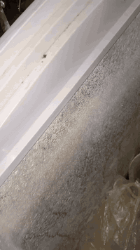 اللهم صلِّ على محمد وال محمد برادات عارضة جدد اخوات لباكيت نظافه 100بل 100مكاني دوانيه جهوري شرقي رقم الهاتف بي واتساب مراسله خاص اوتصال على رقم الهاتف  ***********
