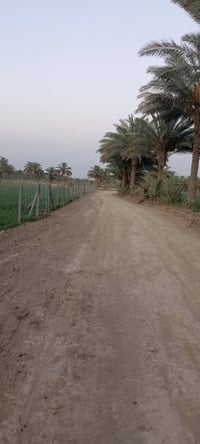 ٤دونم • بدايت النيل • شارعين