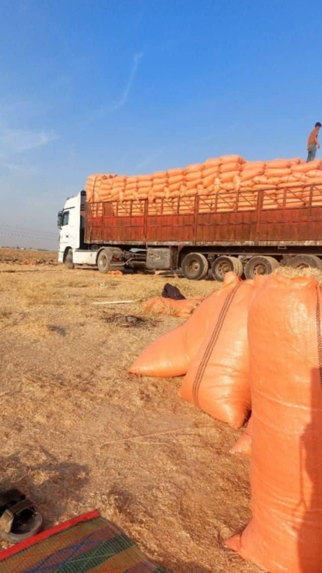 تبن سامراء درجه اوله كيس حجم 60 السعر الزوج 3 ونص مطروح بلمكان بسامراء تصل وتدلل  لستنه الوحيدين لاكن الفضل الكميه محدوده سارع بل حجز تصل عل رقم ***********
