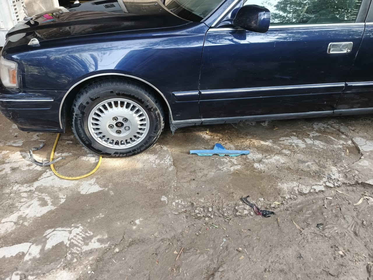 سلام عليكم راس الثور تگم كفاله سعر 85 ***********
