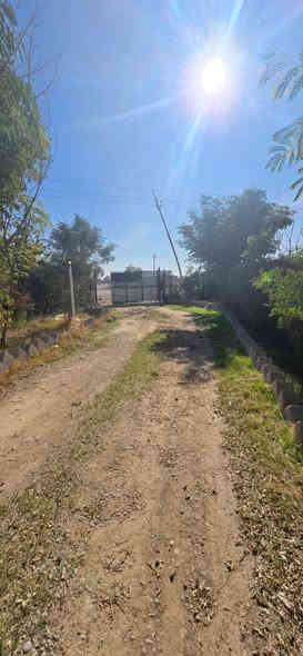 السلام عليكم
ئه م باخه بو فرۆشتن بو ئه وه ي نرخي باخه كه ت زوو بي بكات لايكي به يجه كه مانت بير نه جيت 
شوين كه لار [بشت ناوجه ي بيشه سازي  روبه ري  یەک دۆنمي تابويه 
و سیاجەوزیاترلە50داری بەری جیاواز وبیری ئاو  و دوو زور كابينه ي كه وره له كه ل حه ماموو سه ر ئاو  هەدیقەوسەکۆو 
تيبيني/ شوينكي زور شازي هه يه به م نزيكانه ده كريته دوو  سايدي كه واته ئه م باخه له سه ر دوو سايدييه
تيبيني ٢/ ته نها يه ك مه تر به باني به ر جاده ي دوو سايديكه ده كه ويته 

ايستا ده توان بينرمان بن له تيك توك https://www.tiktok.com/@aqarat.salam?_t=ZS-8tpUjnJ4BRR&_r=1
______________________________↘️⁩
عقارات سه لام بو كرين و فروشتن و بةكريداني  مولك بةخيراي و بةمتمانةوة بةكةمترين كات 
په يوه نديمان پيوة بكةن 
      
 ئێوەی بەڕێزیش گەر موڵکتان هەیە دەتانەوێ بیفرۆشن یان دەتانەوێ بەکرێی بدەن
دەتوانن تەواوی زانیاریەکان بة نامةي مسنجةر بنيرن بو پةيجةكةمان 

📌 ناونیشانی تەواوی موڵکەکەت
🏡 چەن وێنەیەکی موڵکەکەت
💲 نرخی موڵکەکەت

بو زانياري زياتر په يوه ندي بكةن به

*********** سه لام تايبه ت به كرينو فروشتن 👉👉👉

***********م صالح تايبه ت به كريداني خانو 
________________________
