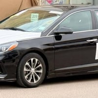 ٢٠١٩ • وارد امريكي • بدون كفيل