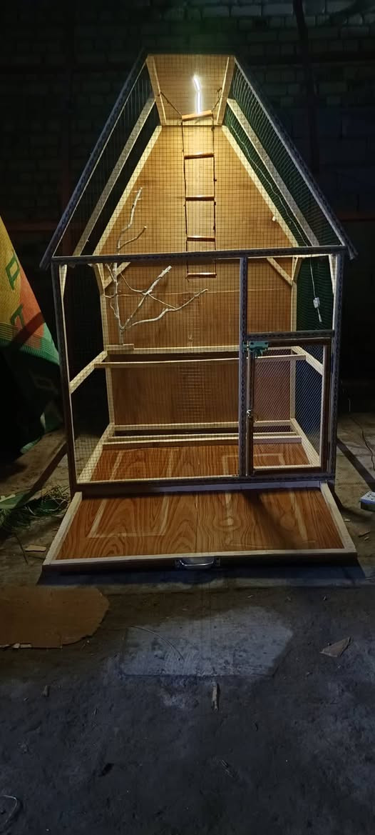 قفص بلابل للبيع العرض متر النزال متر الارتفاع مع المثلث متر و65 والكواخةة ماشادهن موجودات مكانةة الديوانية حي العسكري *********** بي واتساب
***********
