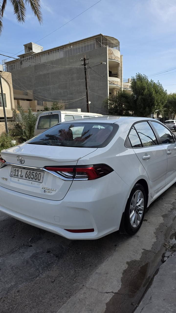 السلام عليكم 
كورولا 2025 الشكل الخليجي رقم بغداد
فول مواصفات داخل احمر 
والجام ايضا مغلف عازل حرارة 
بيها بارد بسيط بخشم البنيد
ماشية 12 الف كيلو 
السعر 154
عنواني بغداد حي الخضراء 
***********
