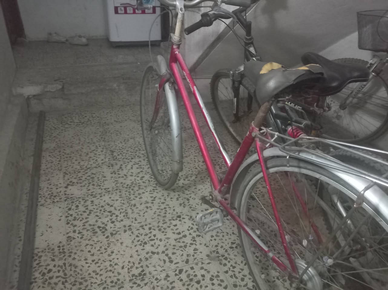 باسكل للبيع الباسكل كلشي مابي سعر 35وبي مجال كلش بسيط


**إذا كنت صاحب هذا الإعلان وتريد حذفه لأي سبب، رجاءا أرسل رسالة إلى الدعم الفني**