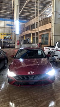 ٢٠٢٤ • ماروني • فول سلايت