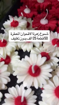 تجهيزات حنه • توزيعات تخرج • بوكس نستله