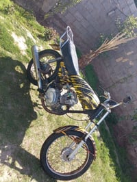 بابل محاويل • بدون أوراق • رقم شاصي