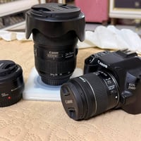 كاميرا كانون d250 • عدسة كانون 24-70mm • عدسة كانون 50mm • قارئ نصون T...