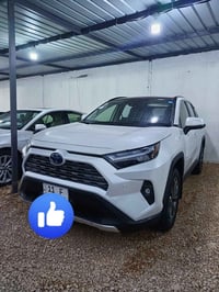 راف فور هايبرد • ٢٠٢٤ • رقم بغداد