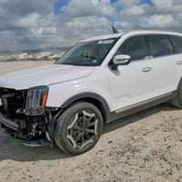 تيلورايد • ٢٠٢٤ • مزاد ٣١/٣/٢٠٢٦