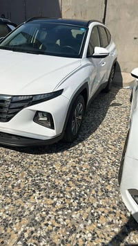 فول لمتد • خليجي • صبغ بنيد وصندوق