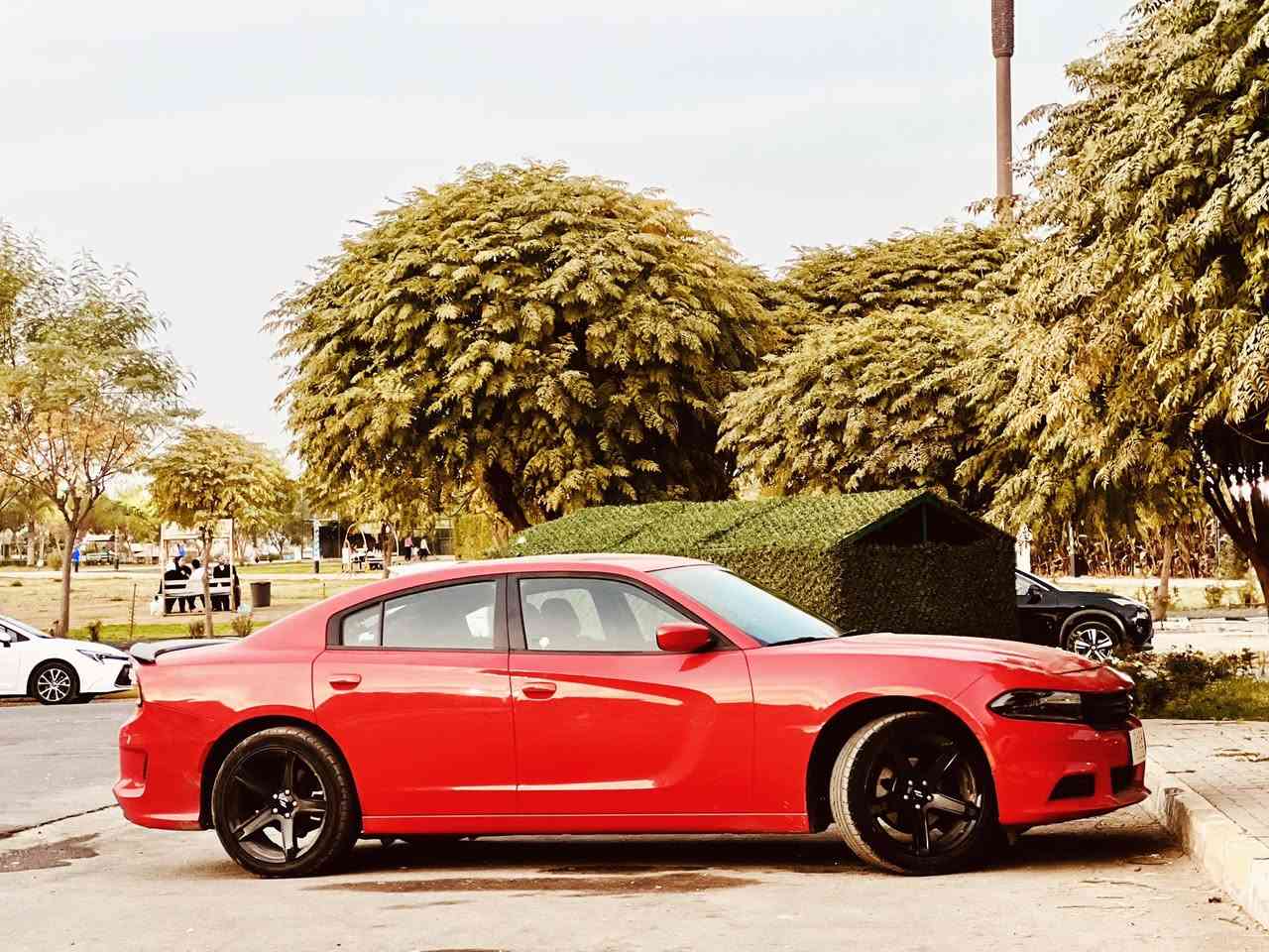 2022 sxt v6جارجر 
255$
للتواصل ***********
