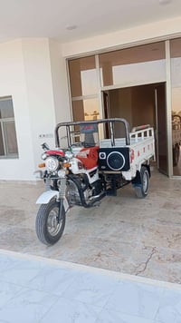 ستوته • ٢١ • مكفولة