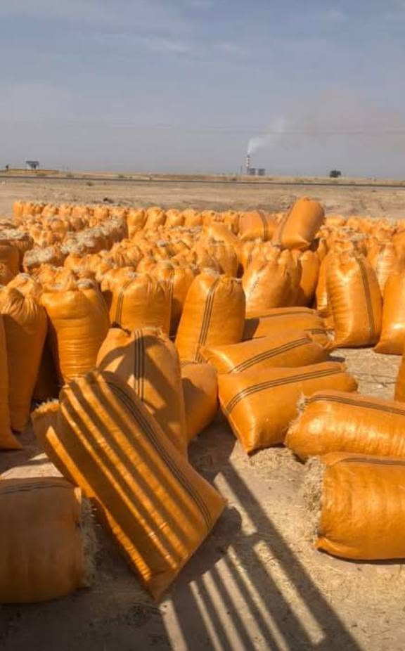 السلام عليكم يوجد تبن مال السنة سعر الزواج بل بكان 2500يوجد توصيل الجميع محافضات العراق.  الرقم/***********
