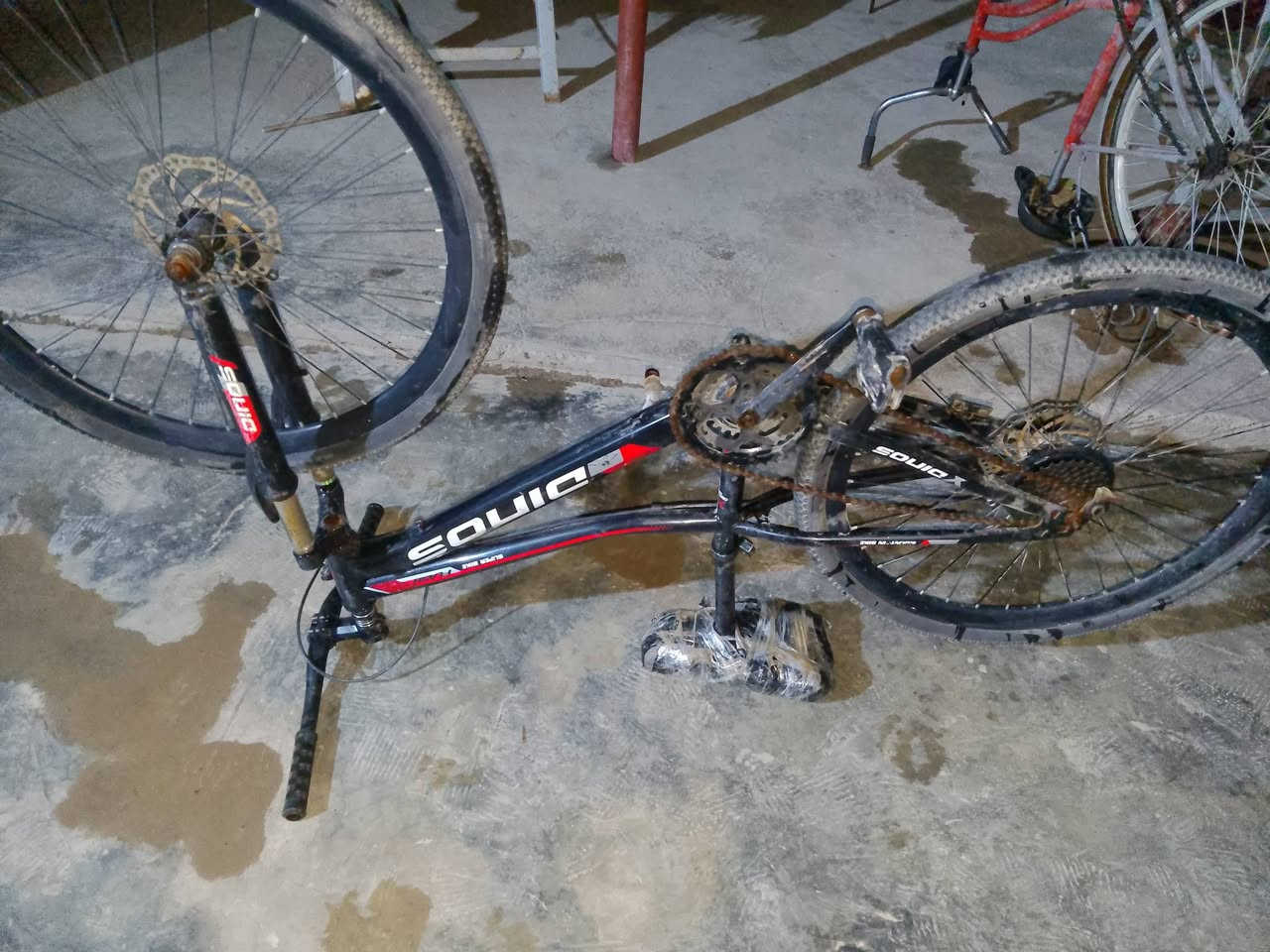 باسكل سباق،، جبلي ،،، باسكل حلو خير من الله سرعه ، نضافه ، باسكل كامل عدل وگبل  للشارع السعر بلاش 60 الف فقط وبيه مجال قليل لم يهمه هذه الباسكل يتصل على هاتف واتساب ،،‏‪0772 790 9728‬‏ وبك خير وتدلل ‏‪0772 790 9728‬‏باسكل سباق،، جبلي ،،، باسكل حلو خير من الله سرعه ، نضافه ، باسكل كامل عدل وگبل  للشارع السعر بلاش 60 الف فقط وبيه مجال قليل لم يهمه هذه الباسكل يتصل على هاتف واتساب ،،‏‪0772 790 9728‬‏ وبك خير وتدلل ديالى بعقوبة
