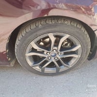 تخم ويل كب فيوجن اصلي  حجم 18 للبيع  السعر 300 دولار   للاستفسار ع الر...