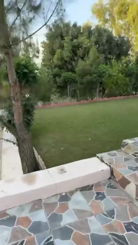 عندك عزيمه ؟ عندك تجمع عائلي وبيتك صغير ؟جبنالكم مزرعه #ايجار يومي✨  – مزرعة VIP بأجواء راقية وخصوصية كاملة ✨

إذا تدور على الراحة والونسة والأجواء الفخمة، مزرعتنا جاهزة تستقبلكم ❤️

🏡 بيت كبير ومرتب بمساحات واسعة
🏊‍♂️ مسبح حار وبارد
🧖‍♂️ ساونة للاسترخاء
🎱 بليارد وكافة وسائل الترفيه
🔥 أماكن خاصة للشوي والجلسات
🌴 أجواء هادئة ومناسبة للعوائل والأصدقاء

⏰ نظام الإيجار: 24 ساعة كاملة
✅ دخول وخروج مريح
✅ خصوصية وأجواء مميزة
الموقع:جيمن خلف كلية القلم

للحجز والاستفسار �***********
