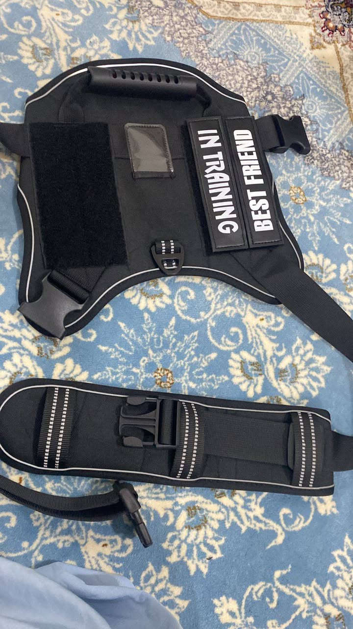 عندي ذني الغراض للبيع


**إذا كنت صاحب هذا الإعلان وتريد حذفه لأي سبب، رجاءا أرسل رسالة إلى الدعم الفني**