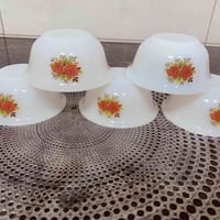 كاسات • بايركس • لطرشي