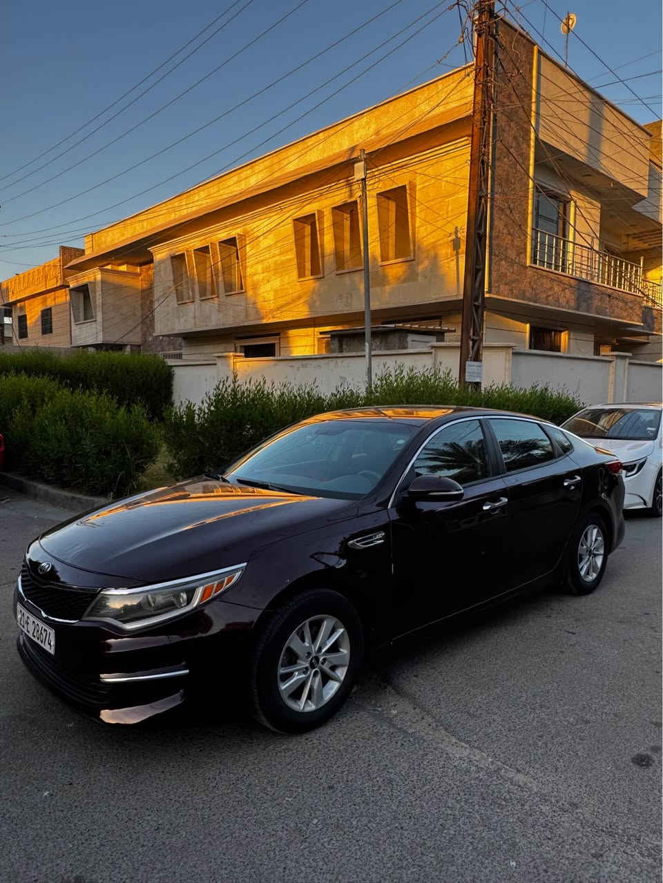 بيع او مراوس بكورلا هايبرد
السلام عليكم اوبتما 2016 وارد امريكي لون كرزي مميز رقم سليمانية باسمي هزه وفحص وسنويه جديد 2030 حادثها جاملغ خلفي صبغ وباب سايق صبغ بدون دواخل بدون ايرباك بدون تبديل سيارة ماشية 129 ميل 
سيارة جاهزة حدادية تبريد ثلج باتري جديد وعليها ادامه كاملة ربع دينار متصرف عليها 
محرك مجفت ع ايدي كير مكفول برغي ممفتوح بي شرط الفحص
السعر 115 وبيها مجال مكاني بغداد حي الحسين
*********** بغداد, العراق
