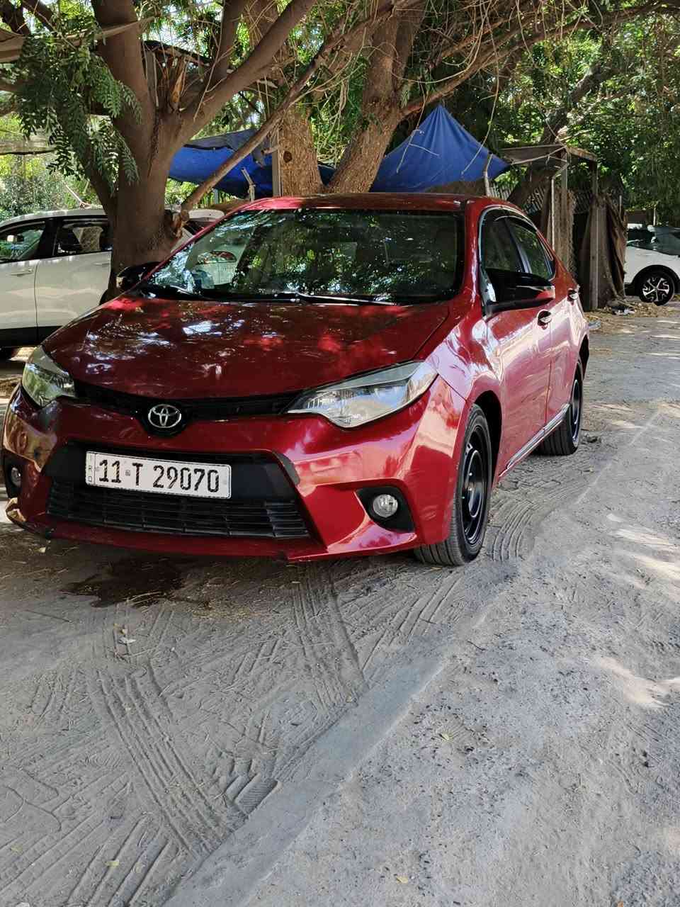 سلام عليكم كورلا 16 البيع سياره جاهزه بيها جاملغات الاماميه صبغ بدون دواخل ولا تبديل محركك 1800 خير من الله ماناقصها شي, ***********. مراوس حسب القناعه سعر 110 قفلها مكاني بغداد قرب علوه الرشيد

