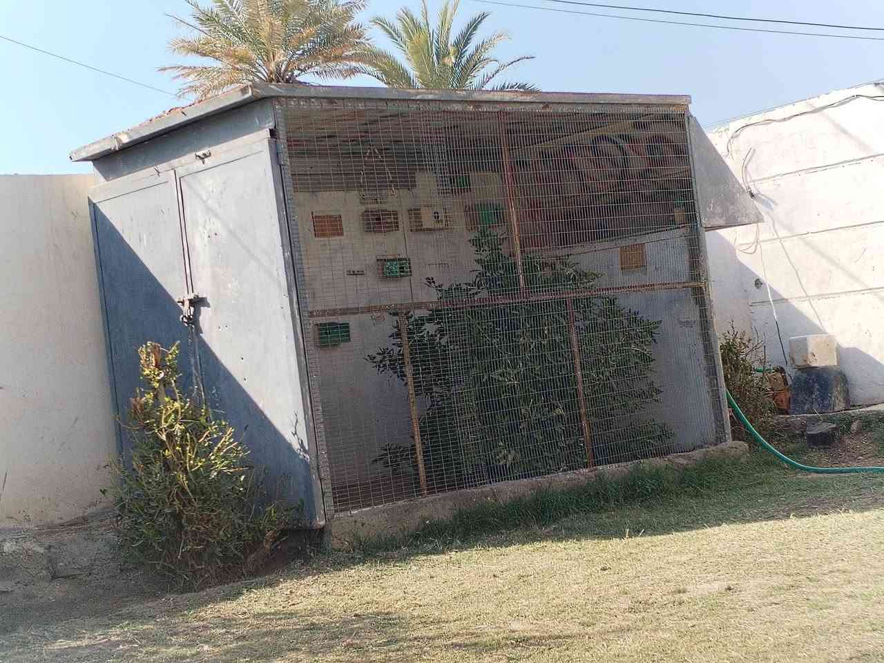 قفص للبيع تلاثه في ثنين قفص درجه اوله كلشي يرهم انواع الطيور حته مخزن يرهم لهل لمحلات***********سعر خابر وتدلل
