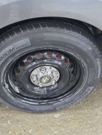 ويل عادي • مراوس مثل الصورة • النجف الأشرف