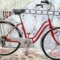 ياباني • حجم ٢٦ • ٦ نمر