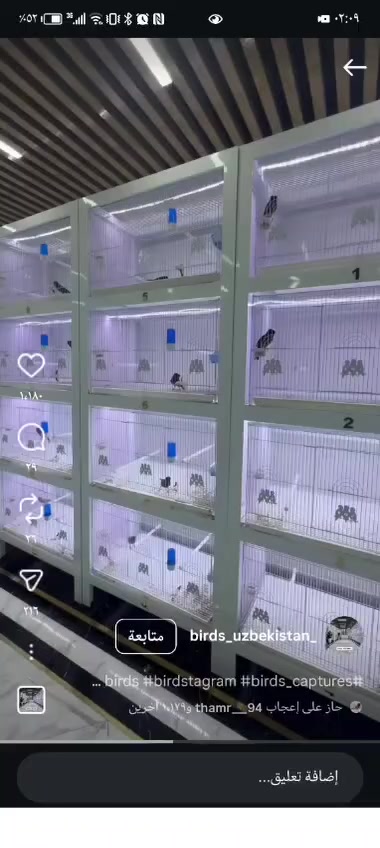 منو يشتغل هيج شغل يراسلني واتساب
***********
