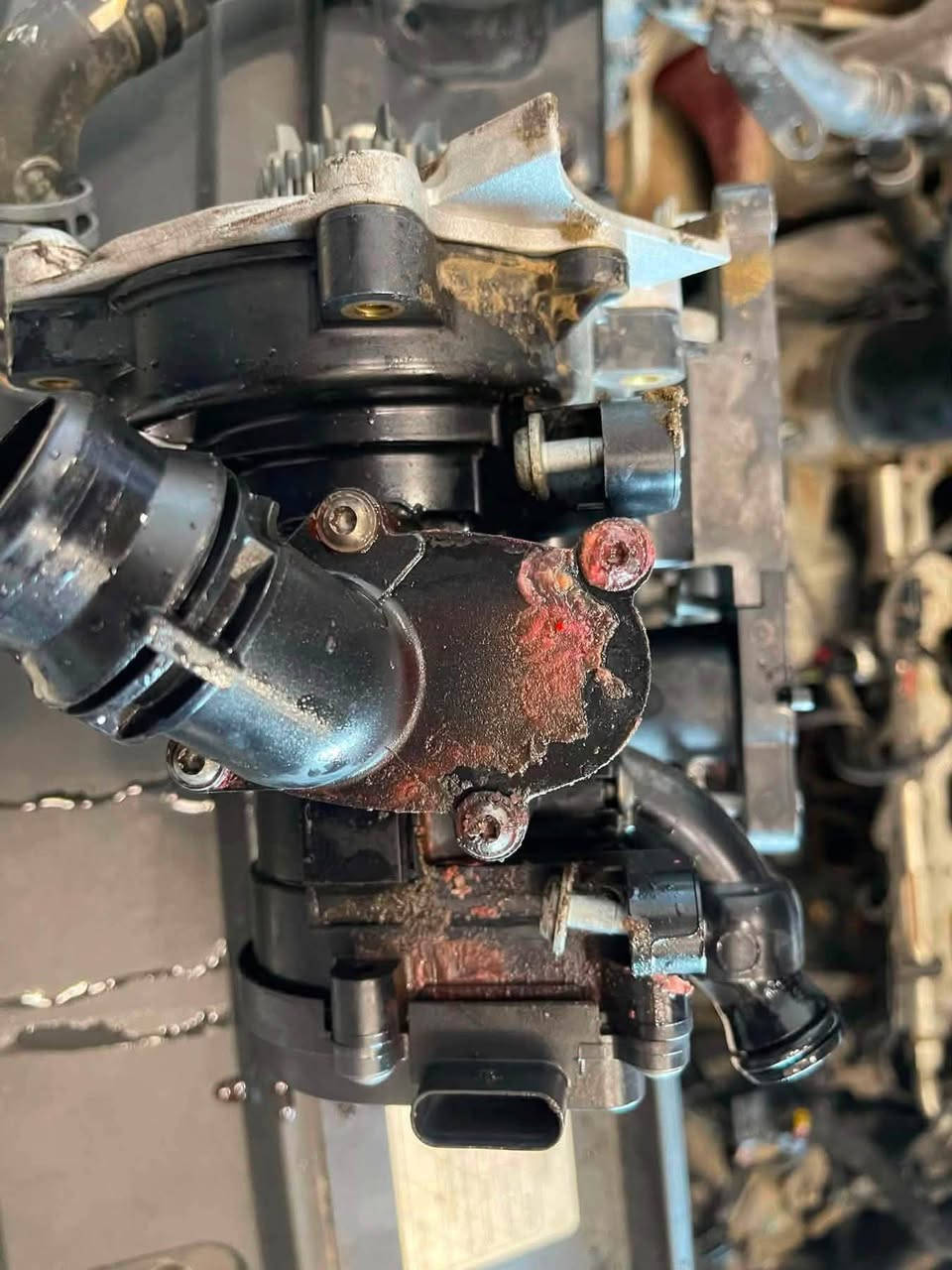 شيرين لصيانة السيارات الألمانية 🇩🇪
.
.

زبائننا الكرام ❤️
.

🚖 السيارة الأولى - Passat  2019 - محرك 2.0 Turbo

اشتكى الزبون من نقص دائم في ماء المحرك.

🔍 بعد الفحص الدقيق لمنظومة الماء ، تبين أن سبب المشكلة هو عطل في الواتر بامب (Water Pump).

✅ تم تبديل الواتر بامب بقطعة أوربية جديدة، مع تعبئة ماء G12 Evo، وإجراء فحص كامل لمنظومة الماء ، وإرجاع السيارة إلى وضع الشركة.🛡️ ضمان 6 أشهر على القطعة والعمل.

🌹🌹🌹

🚘 السيارة الثانية - Jetta 2017  -Golf  

اشتكى الزبون من وجود عند الاستدارة تم فحص الصدر الامامي للسيارة تبيّن أن سبب المشكلة هو تلف لاستيك الدرايف شفت (Drive Shaft Boot)، مما أدى إلى خروج الكريز ودخول الأتربة إلى المفصل ،  تم تبديل لاستيك اوربي جديد مع كريز حراري وارجاع السيارة الى وضع الشركة . 

🌹
🌹

‏‎زبائننا الكرام 

‏‎عروض وكالتنا 

‏‎١- تبديل هيدروليك كير بدون اجور عمل 🚘

‏‎٢- فحص كومبيوتر مجانا في وقت تحتاجه سيارتك الى فحص في حالة تبديلك لدهن المحرك في وكالتنا . 

‏‎٣- فحص للصدر الامامي مجانا في وقت تحتاجه سيارتك الى فحص في حالة تبديلك للدهن المحرك في وكالتنا . 

‏‎كذلك سوف تدخل تلقائيًا في السحبة الشهرية للفلاتر المجانية والسحبة الدهن المجاني كل ثلاثة اشهر. 

‏‎٤-زبائننا الكرام 

‏‎العرض الجديد من وكالتنا 

‏‎في حالة زيارتك لورشتنا سوف تدخل تلقائيا بالقرعة الشهرية 

١- فلاتر المحانية
‏‎٢- اجور عمل مجانية  

🌹
🌹

موقع شركتنا الجديد

‏https://maps.google.com/?q=36.168079,44.011108

‏‎‏‎شركة شيرين ( وكالة فولكس واگن & سكودا) 

‏‎اربيل - قرب نقليات بغداد ( كراج بغداد) - بالقرب من مرطبات 9* 9 

📞***********-***********

#Tiguan  #passat  #Volkswagen #atlas #jetta
