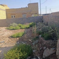 بني زيد • ١٩٨م • ٥٠م من الشارع