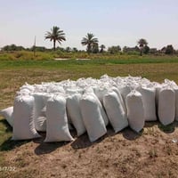 تبن جت • بابل شوملي • ٧٠