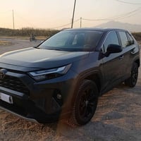 رافور ٢٠٢٤ • دبل • رقم سلیمانیە