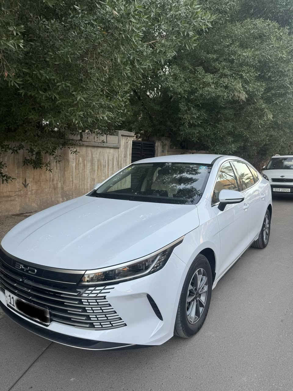 2025 كفالة ماشية 4 الف *********** السعر 18900
