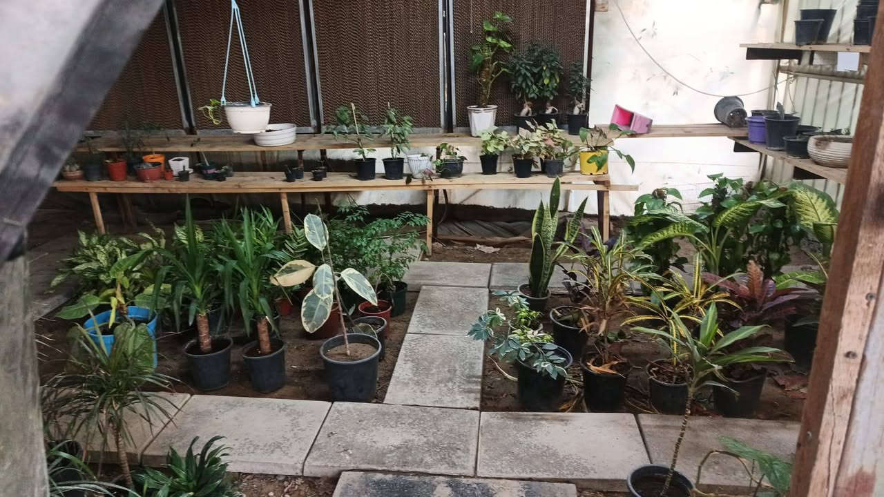 السلام عليكم مشتل للبيع و دفئية زراعية المساحة100متر ٤ برادات ٣ دفئيات  ايجارة ٥٠٠ عنوانه الغزالية الشارع العام للاستفسار أكثر *********** فقط واتساب
